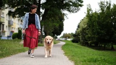 Günlük sabah rutininin bir parçası olarak Golden Retriever ile Yürüyen Kız