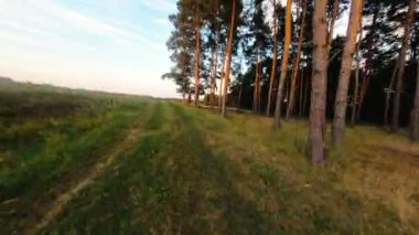 Fpv Drone Sunset 'te Orman Yolu' nun üzerinde uçuyor
