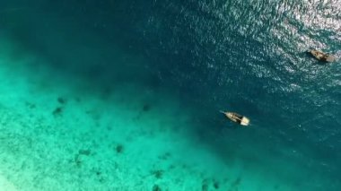 Zanzibar kıyısındaki sığ turkuaz sudan inanılmaz bir manzara.