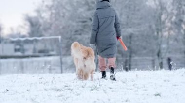 Sahibi kız, kışın kar tarlasında altın av köpeğiyle yürüyor.