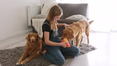 Sevimli küçük kız evde sevimli köpekleri ile oynuyor.