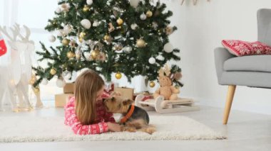 Köpek teriyeri, Noel ağacının yanında çocuk kızın yüzünü yalıyor. Süslü odada köpekçikle gülümseyen güzel çocuk.