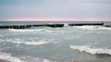 Ahşap Groynes 'a tüneyen martılar Yavaş Çekimde Pembe Deniz Pembesi Altında