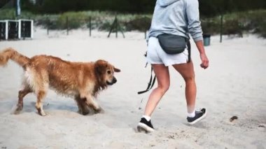 Golden Retriever sahibi ile oynuyor, bir kız, kumsalda ağır çekimde.