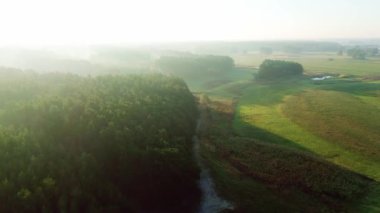 İnanılmaz Sabah Yeşil Çayır ve Orman Puslu: Yüksek Doğadan Yaz Doğası