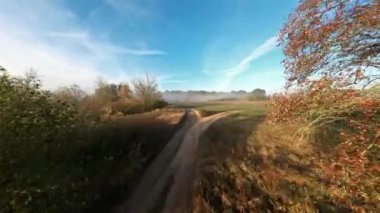 Drone Şafak vakti çayırın üstündeki ağaçların arasından uçuyor.