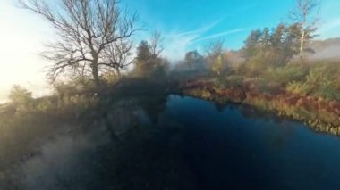 Misty Morning Bataklıkları: İnanılmaz Fpv İnsansız Hava Aracı Doğanın Üzerinde Uçuyor