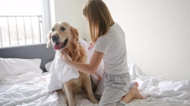 Neşeli genç kız battaniyeye sarılmış altın av köpeğiyle eğleniyor.