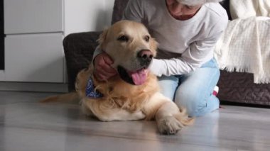 Yaşlı Bayan Yumuşak Okşayan Tatlı Altın Köpek