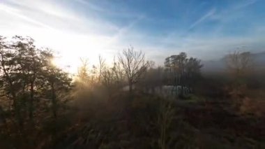 İnsansız hava aracı, uçmakta olan kuşlarla çayırların üzerindeki ağaçların arasında geziniyor.