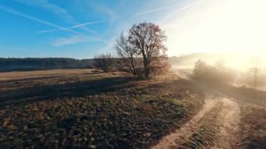 Sabahın erken saatleri: Çayırdaki Ağaçlar ve Nehir Uçan Fpv İnsansız Hava Aracı ile Tanışır