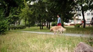 Parkta Altın Köpekle Yürüyen Kız Günlük Sabah rutininin bir parçası olarak