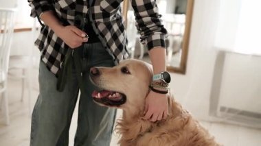Yürümeden önce tasmaya köpek tasması takan kız