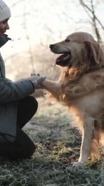 Donuk bir sabahta güzel bir köpekle yürür köpek patisini ve dikey videosunu verir.