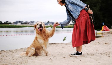 Kadın sahibi Golden Retriever 'a pençe atmayı öğretiyor. 