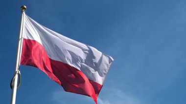 Polonya Ulusal Bayrağı Bir direkte Gökyüzü Arkaplanına Karşı Dalgalanıyor