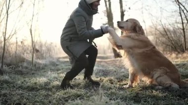 Dondurucu bir sabahta sevimli altın av köpeğiyle yürüyen kız, patisini uzatır.
