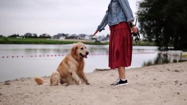 Kadın sahibi Golden Retriever 'a pençe atmayı öğretiyor. 