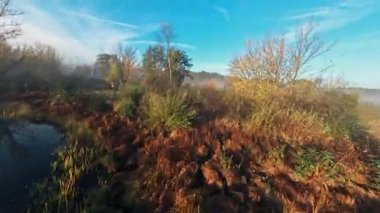 İnsansız Hava Aracı Sinema, Bataklık Havuzu Üzerindeki Yaz Uçuşu