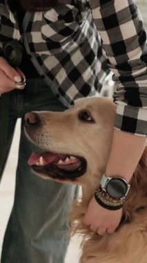 Yürümeden önce tasmaya köpek tasması takan kız, Dikey Video