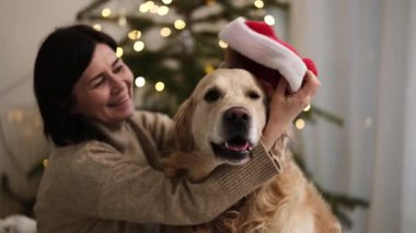 Bayan Sahibi Noel Tatillerinde Altın Köpeğe Noel Şapkası Koyuyor