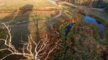 İnsansız Hava Aracı Sineması: Bataklık Ağaçlarının Üzerinde Yaz Uçuşu