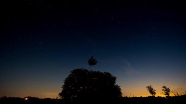 Hareketli Yıldızlar ve Ağaç Silueti ile İnanılmaz Zaman Hızı Gökyüzü