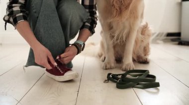 Kız Köpekle Yürüyüşe Çıkmadan Önce Ayakkabı Bağcığını Evde Bağlıyor