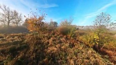 Drone çalıların ve ağaçların arasında geziniyor, Güneşin doğuşunda ilk puslu manzaralar ortaya çıkıyor.