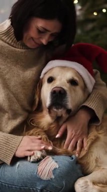 Altın bir av köpeği görünümlü, üzgün, dikey videolu Noel Baba Şapkalı Kız