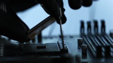 Eldivenli İşçi, ana karta işlemci çipi yerleştirdi