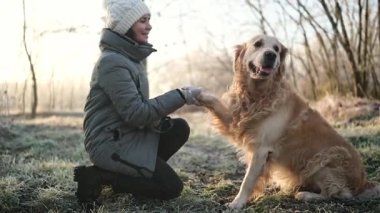 Buz gibi bir sabahta güzel bir altın köpekle yürüyor ve köpek pençesini sallıyor.