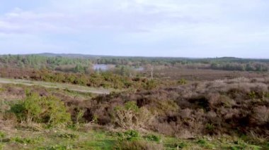 Frensham Gölü 'nden Frensham Küçük Göleti' ne mavi gökyüzü, Gorse ve Heather 'la Ocak ayında bakın. 