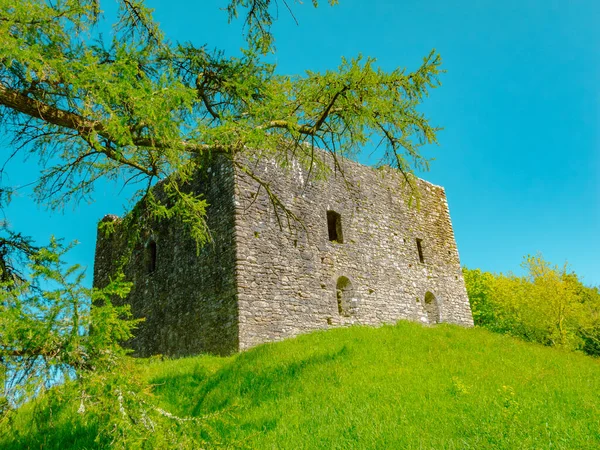Lydford Castle Lydford Devon Egyesült Királyság Élénk Zöld Fűvel Kék — Stock Fotó