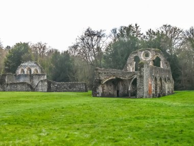 Waverly Abbey Farnham Surrey. Yeşil çimenli harabeler.