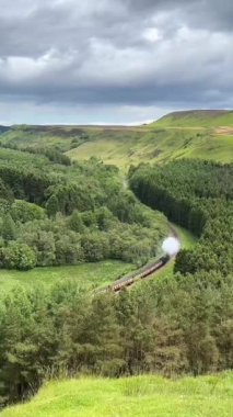 Levisham Kuzey York Demiryolu, Valley North Yorkshire 'da buharlı tren.. 