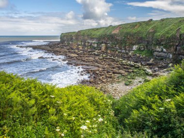 Cleveland Yolu Kuzey Yorkshire Scarboroughs yakınlarında dramatik kıyı dalgaları
