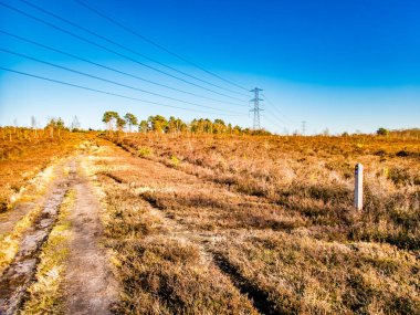 Chobham Common Surry England. Mavi gökyüzü boyunca uzanan fundalık ve elektrik hatlarıyla.