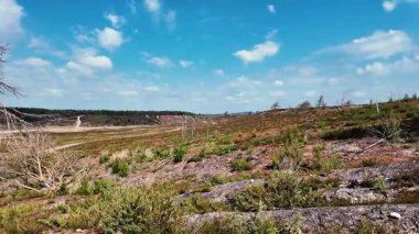 Hankley Common Elstead yakınlarındaki Surrey Panorama 'da Mayıs 2025' te açık bir günde