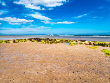 Kuzeydoğu kıyısında, Farne Adaları 'nın olduğu deniz evi kumsalı.. 