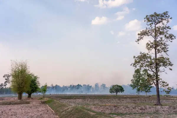 Verbrennung Der Felder Auf Dem Land — Stockfoto
