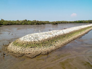 Tayland 'ın Mangrove orman su bariyeri