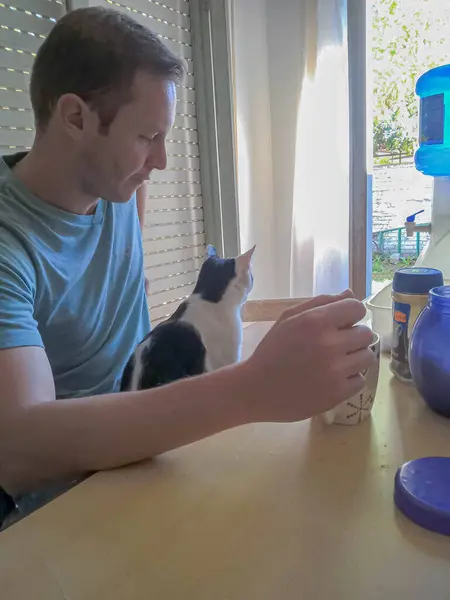 young man is drinking and drinking a cat in the kitchen