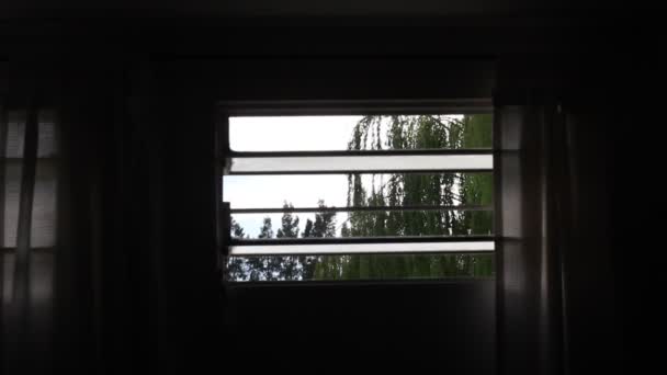 Fenêtre Avec Verre Vin Vidéo De Stock