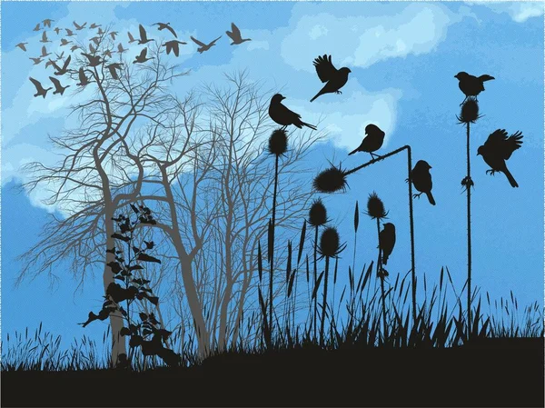 Vectorillustratie Van Kleine Vogels Een Distel Achtergrond Agaat Vliegende Wilde — Stockvector