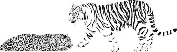 Vector Black White Illustration Tiger Lying Leopard — Stock Vector