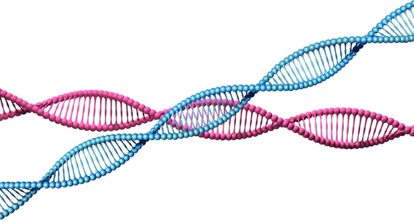 Blue Pink Dna Code Helix Spirals Isolated — Stock Photo, Image