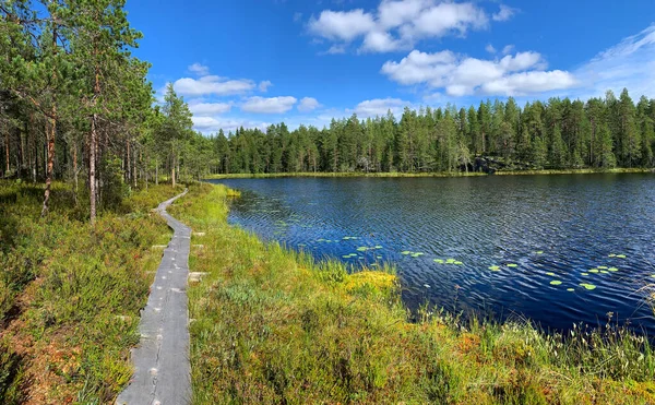 Озеро Лесной Пейзаж Голубой Водой Небом Белыми Облаками Лицензионные Стоковые Фото