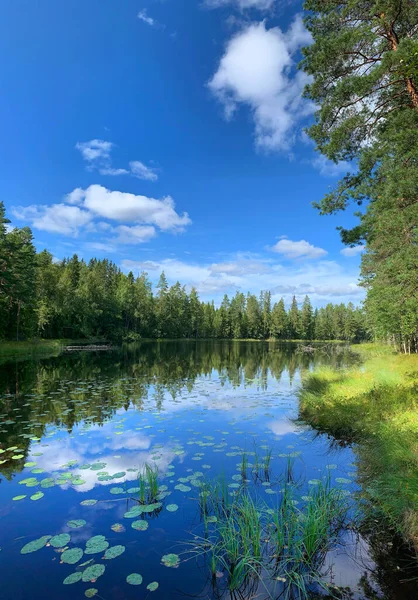 Καλοκαίρι Άγρια Λίμνη Και Τοπίο Δάσος Μπλε Νερά Και Ουρανό Φωτογραφία Αρχείου