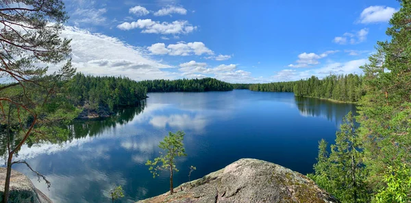 Nyári Vadon Erdő Táj Kék Vízzel Fehér Felhők Finnország Stock Kép